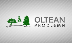 Oltean ProdLemn